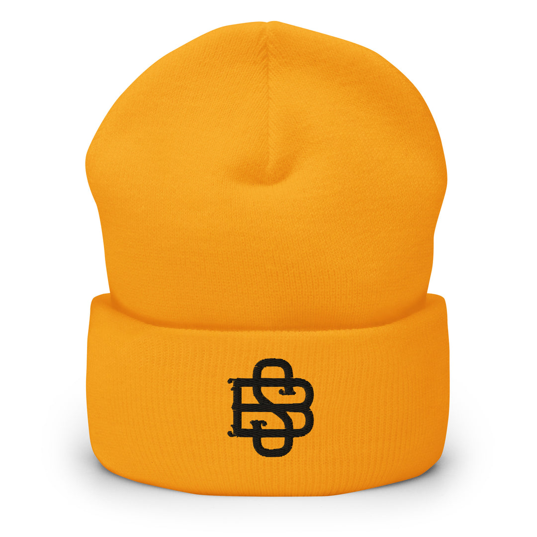 Stand'on Business Embroidered Beanie